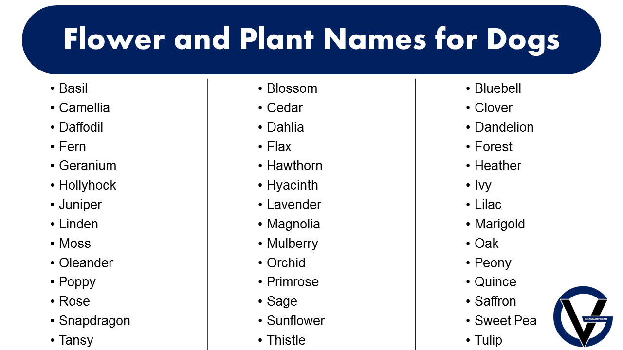 Awesome Plant Names for Dogs,The best way to Pick one!