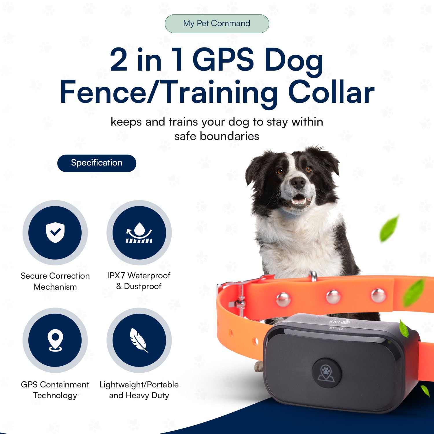 GPS Shock Collars for Dogs: Compare Prices & Features Now!