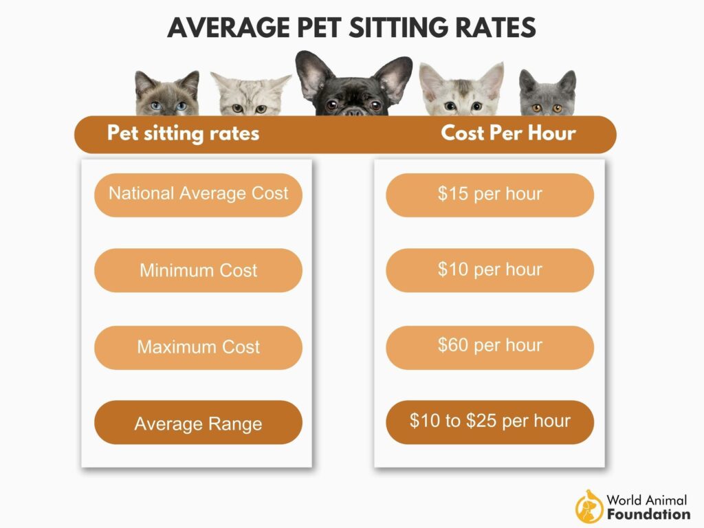 Whats the Cost of Overnight Dog Sitting? Find Out Here!