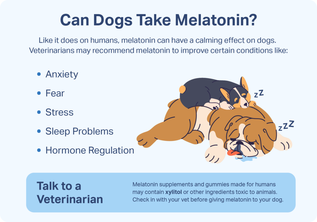 Need Melatonin Dosage for Your Dog? Use Our Weight Calculator Chart!