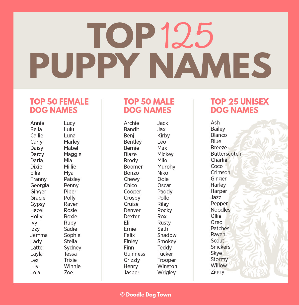 One-Syllable Dog Names,The Best Choice for Your Dog!