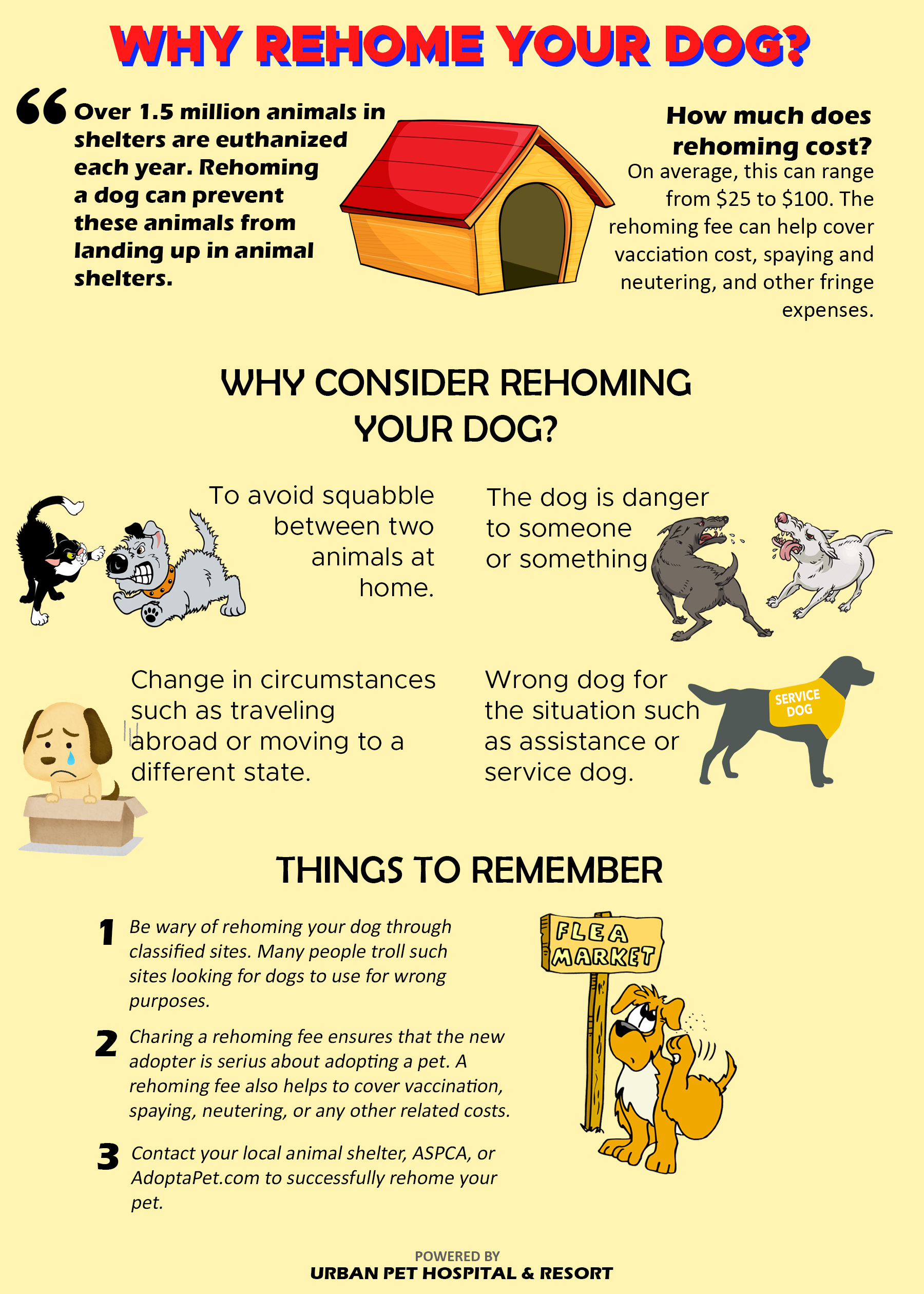 How Much Are Rehoming Fees for Dogs? (A Simple Guide)