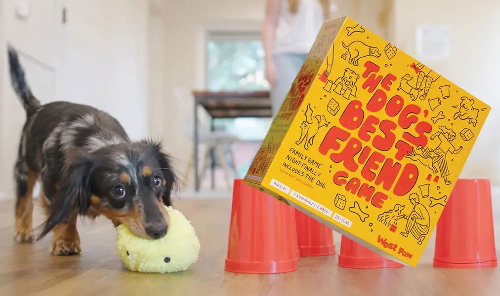 Best Healthy Dog Toys 2024: Keeping Your Furry Friend Happy!