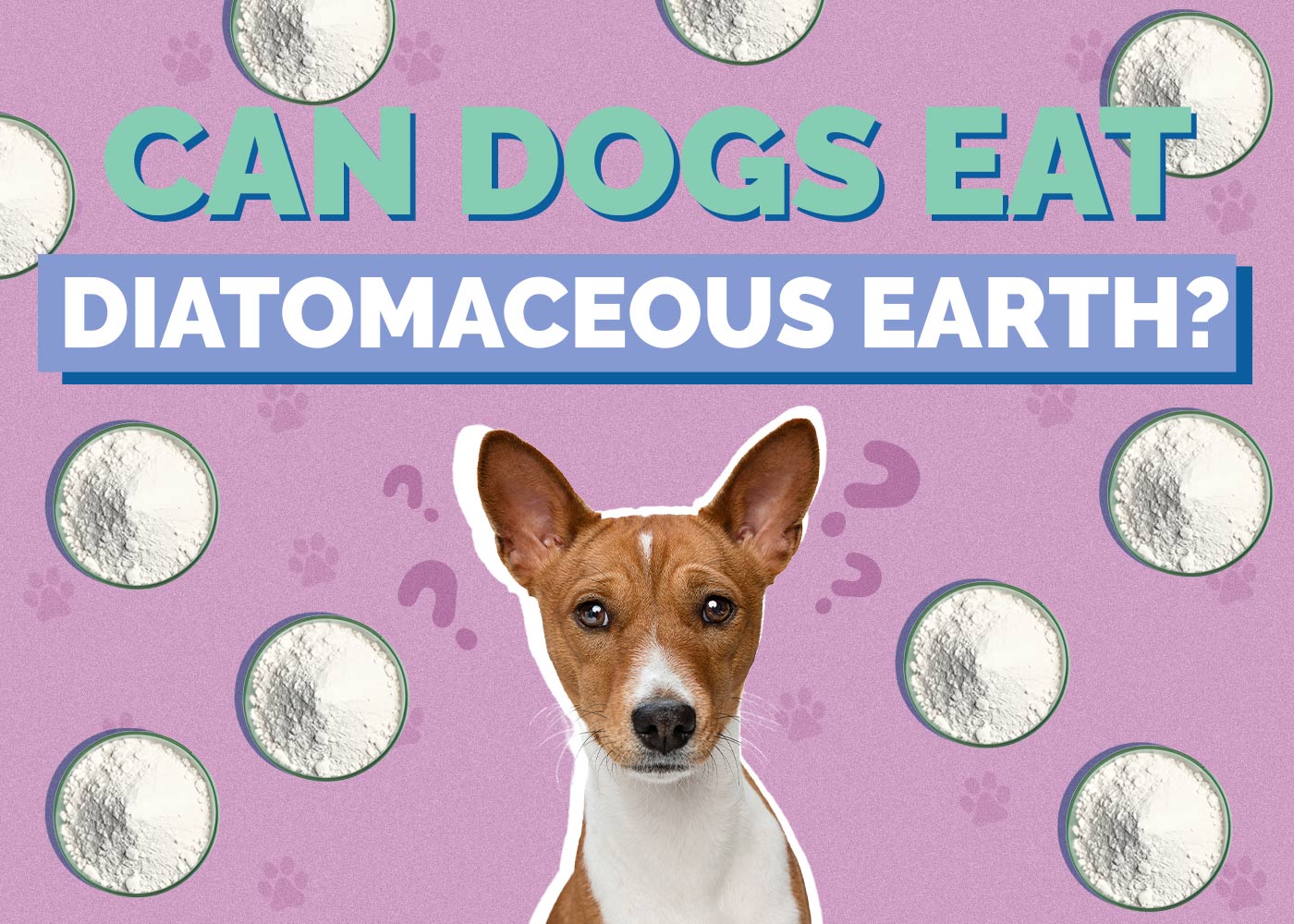 Diatomaceous Earth for Dogs Reviews: Real User Experiences