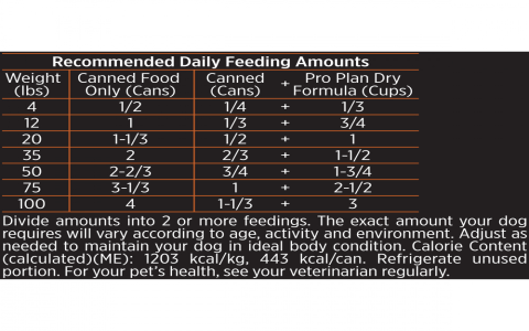 Dog Food: How Much Hamburger and Rice is Safe Daily?