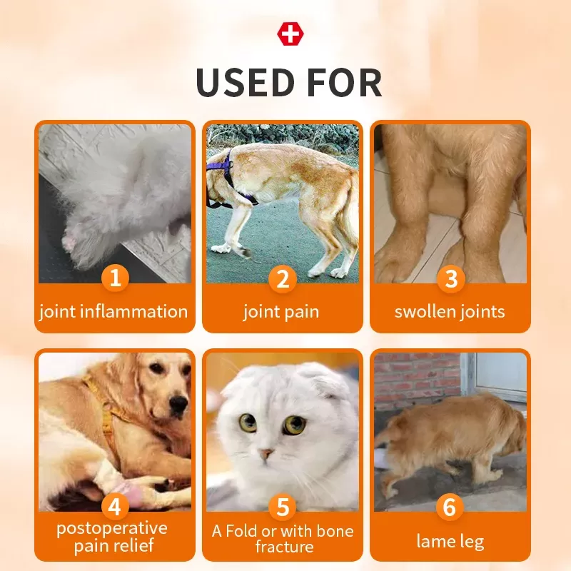 Need a Meloxidyl Dose Chart? Get Your Dog Feeling Better!