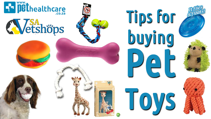 Inappropriate Dog Toys: Hilarious or Harmful? (Buyers Guide)