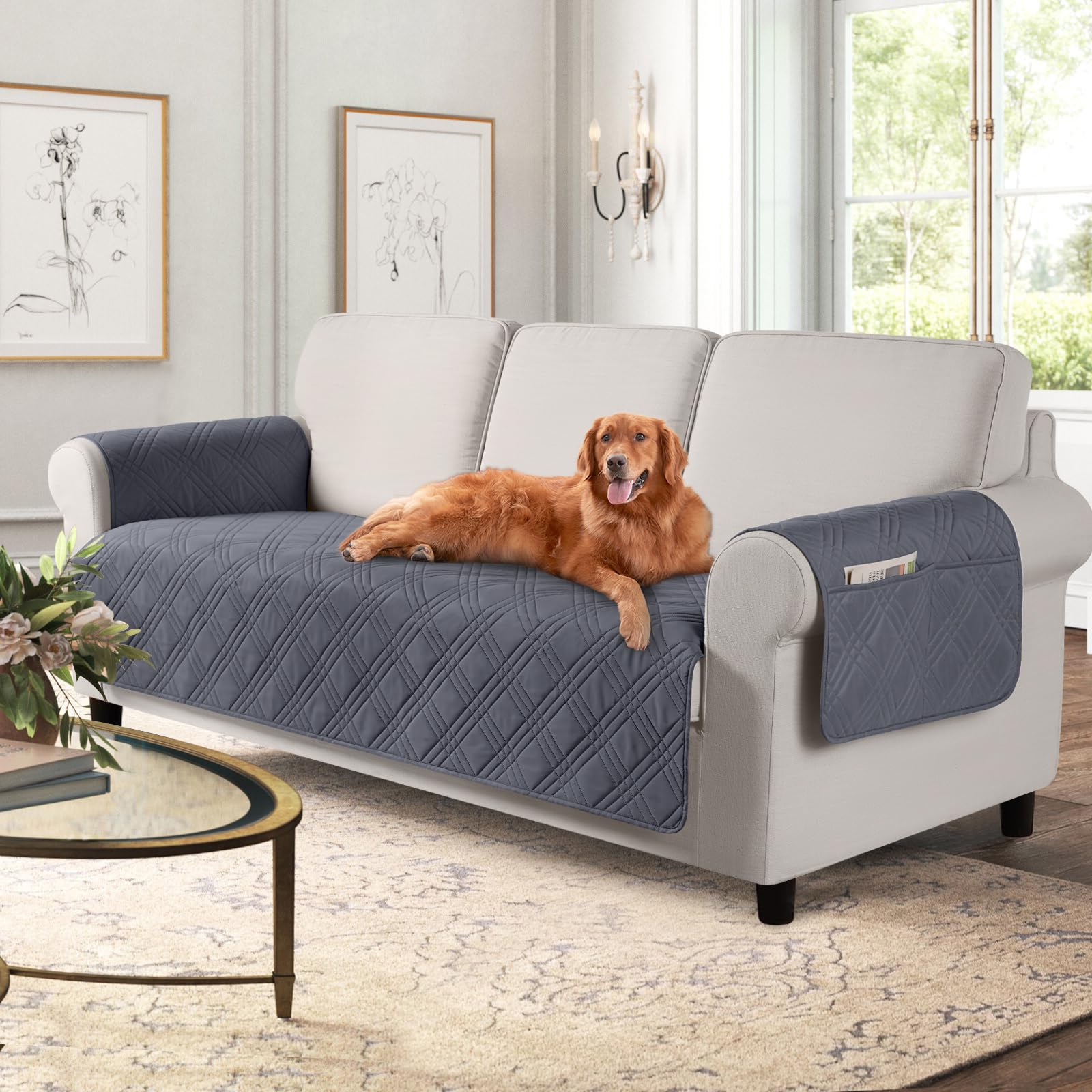 Need Leather Couch Covers for Dogs? Find the Best Ones Here!