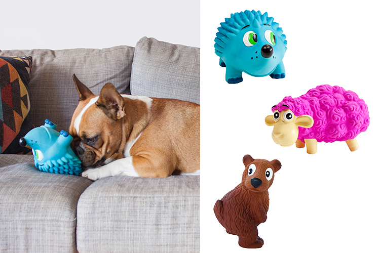 Amazing Blind Dog Toys, make sounds and smell, to keep your dog happy.