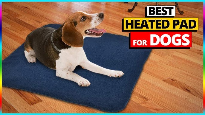 heated pad for dogs Review: Find the Perfect one