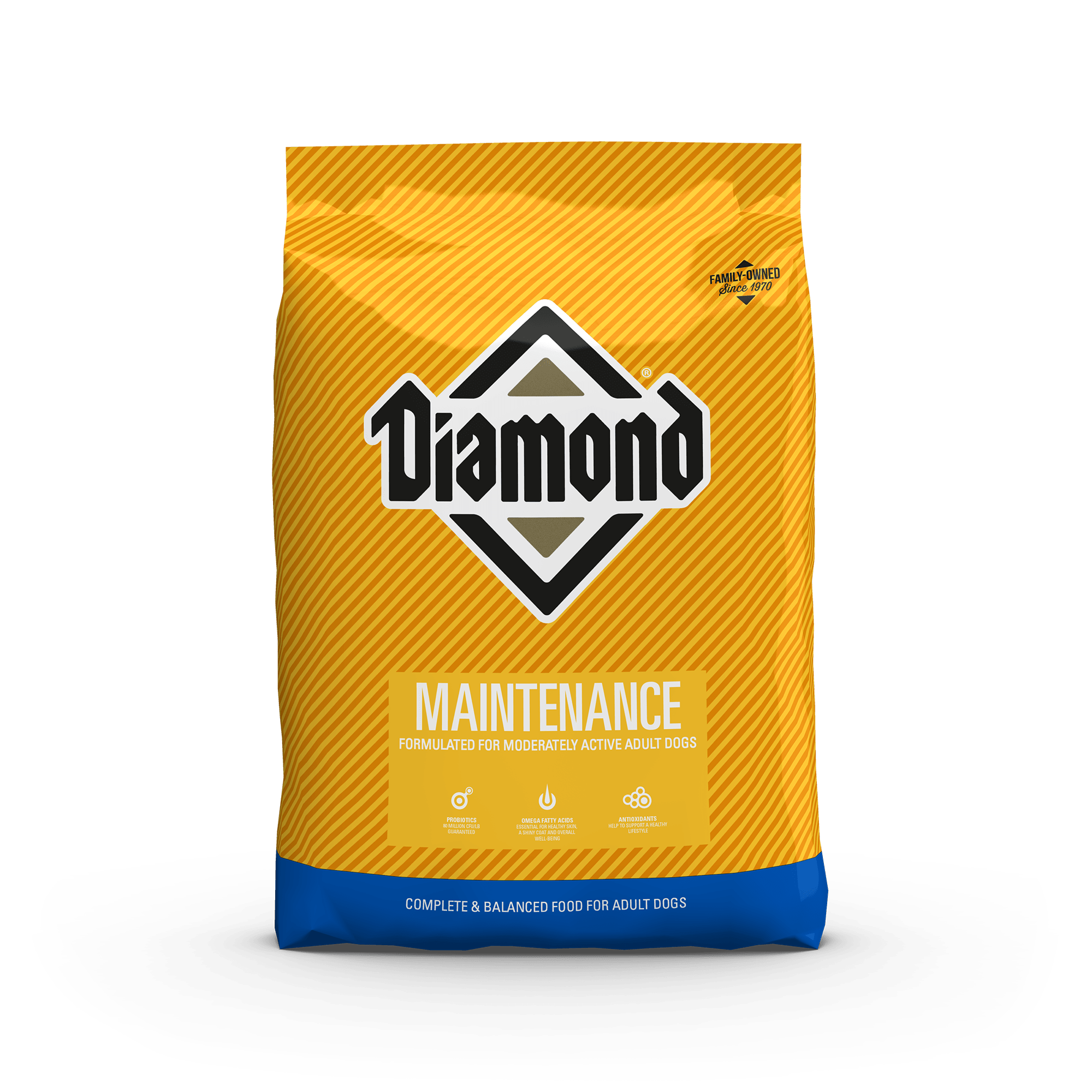 Diamond Maintenance Dog Food: Our Full Review & Top Alternatives.