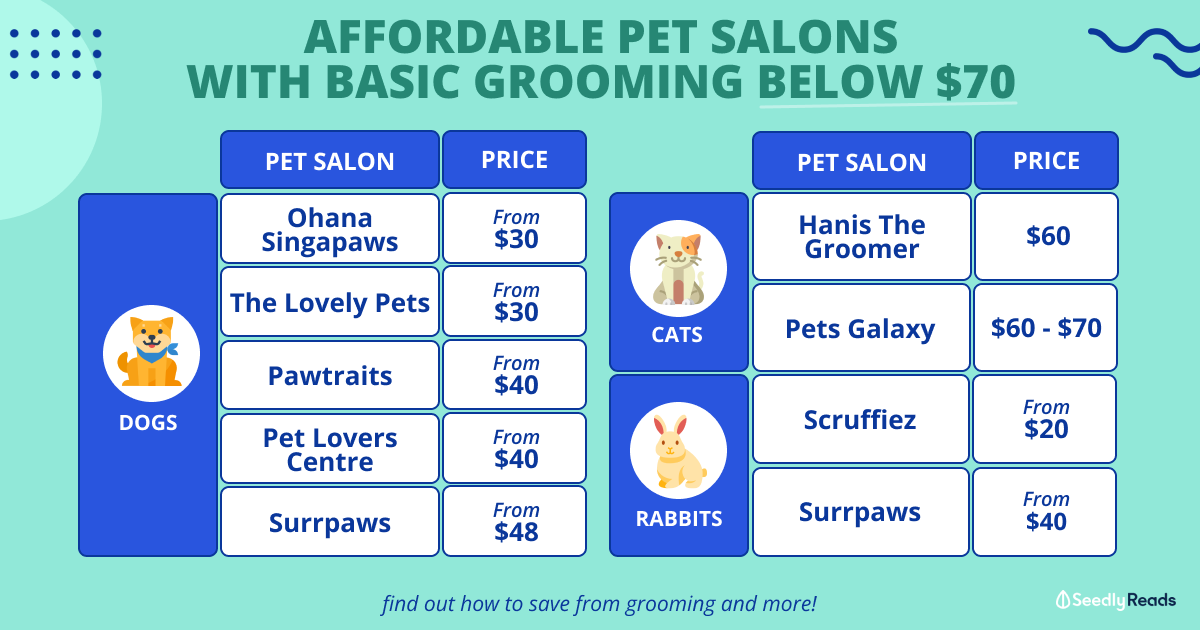 How Much Does Mobile Dog Grooming Cost? A Simple Guide!