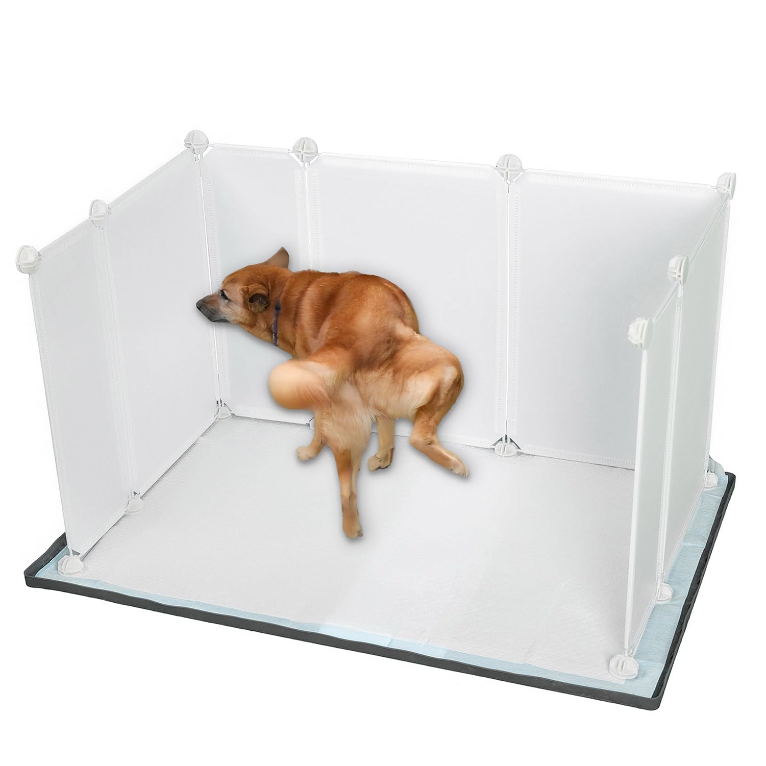 Indoor Dog Potty? Choose the right Litter Box for Dogs.