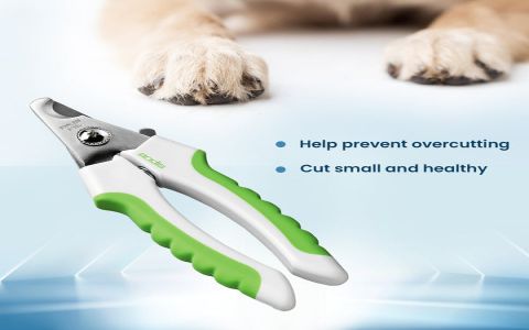 How much does it cost to clip dogs nails? Average costs & cheaper options here!