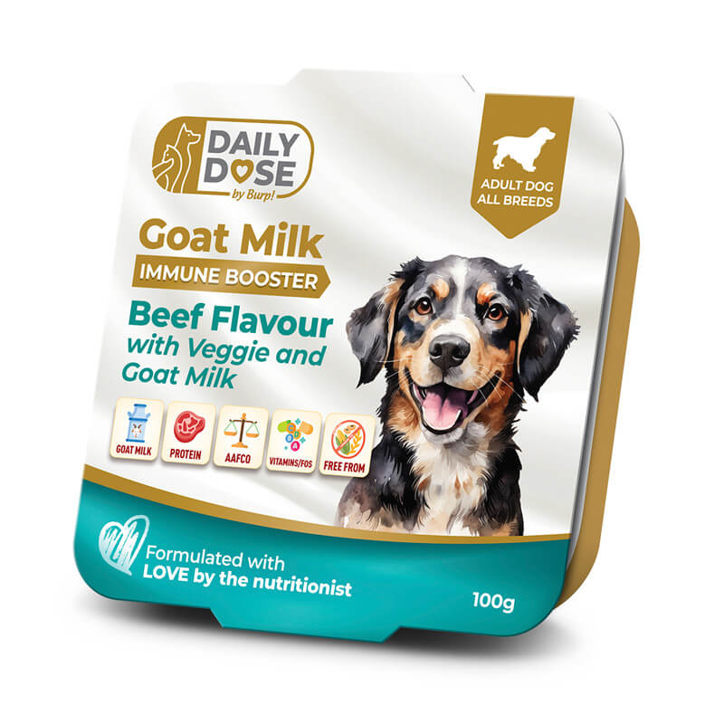 Where to Buy Kiwi Kitchen Dog Food? Best Retailers List!