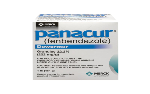 Fenbendazole Powder for Dogs: Works? (Reviews & Results)