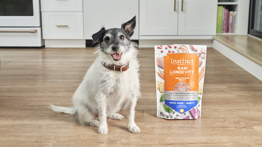 Best Senior Dog Food? See How Instinct Stacks Up Against the Rest