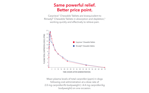 Amoxicillin for Dogs Dosage Chart kg Calculator: Find the Right Dose Easily!