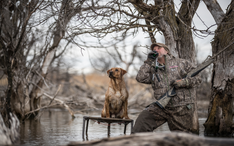 Cool Duck Dog Names: Awesome Ideas for Unique Pets!