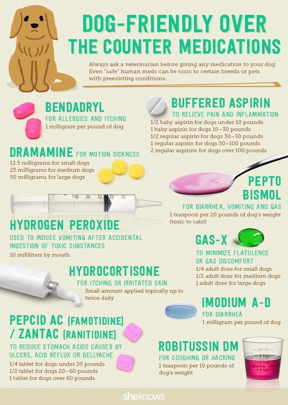 How Much Robitussin for Dogs? Safe Dosages & Vet Tips!