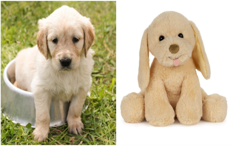 Where to buy dog toys that make animal sounds: Your ultimate shopping guide!