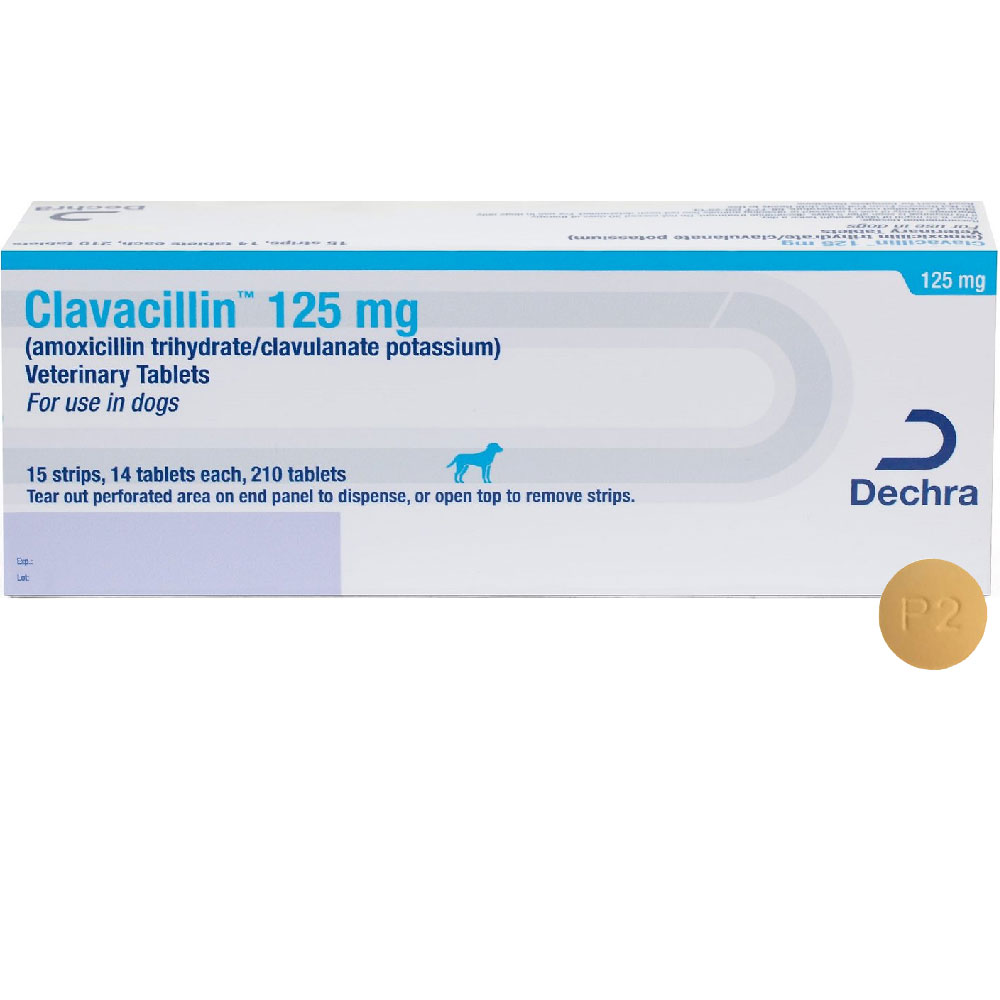 Clavacillin for dogs 125 mg: What is it used for?