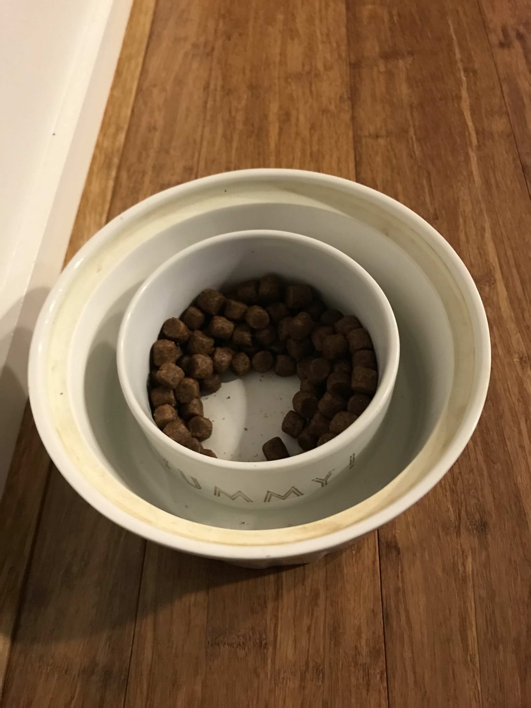 How to Stop Ants from Getting into Your Dogs Food Bowl