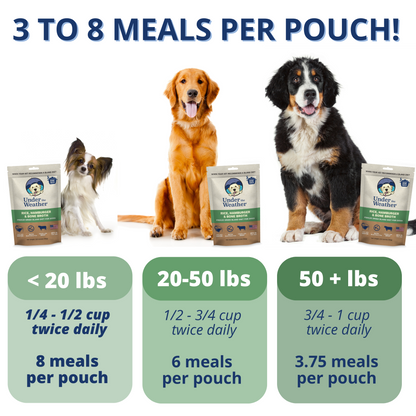 Dog Food: How Much Hamburger and Rice is Safe Daily?