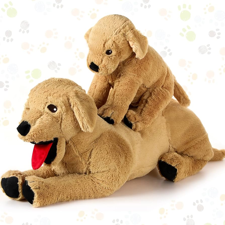 Where to Buy a Golden Dog Toy? (Easy shopping of best choice online)