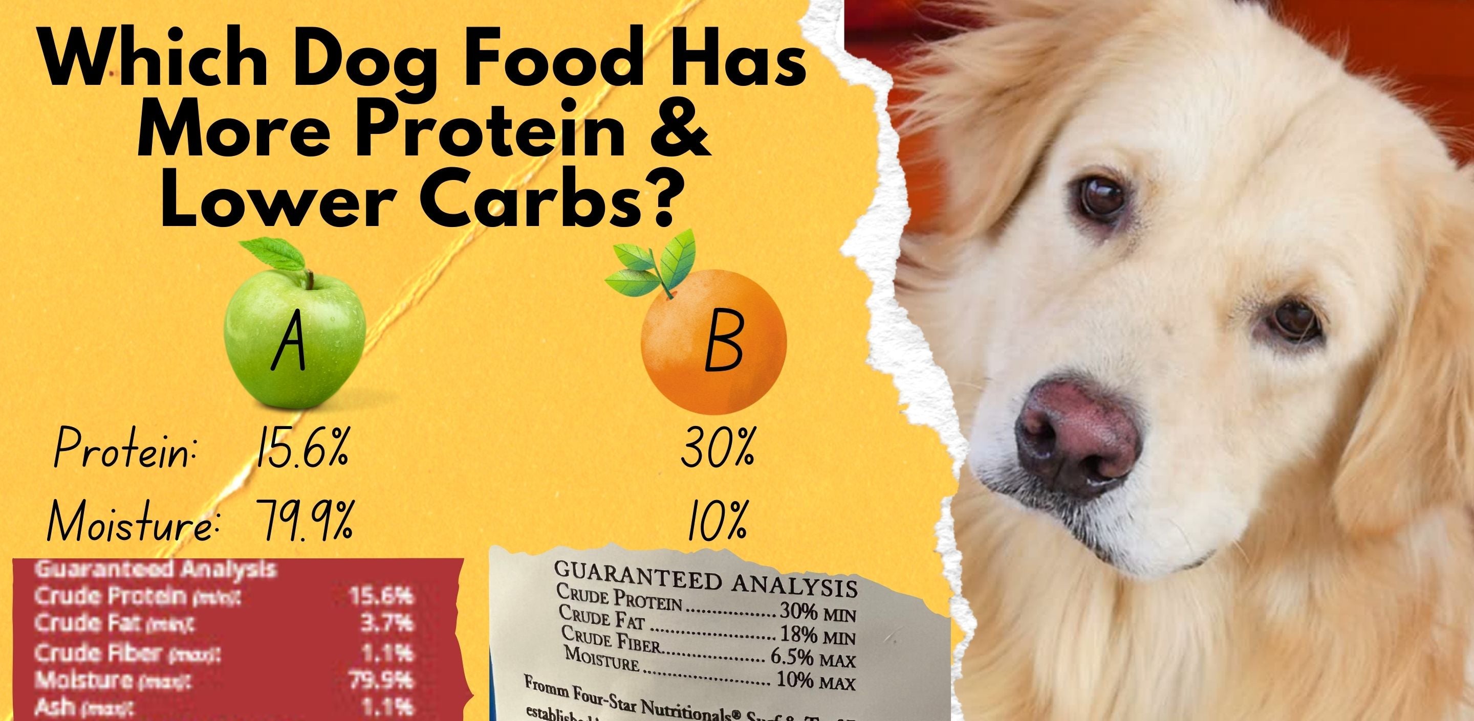 Best High Protein Low Carb Dog Food, Find the perfect Options.