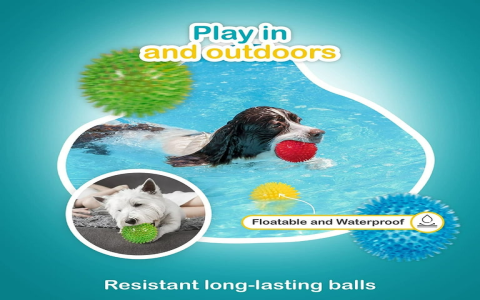 Dog Balls Toy: Best Choices for Fun and Durability!