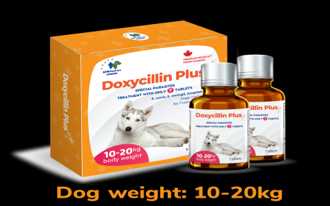 Doxycycline for Dogs: Use This Simple Dosage Chart Calculator PDF to Keep Your Pup Safe!