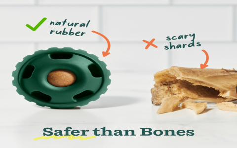 Peanut Butter in Dog Toy: Keep Your Pup Happy and Busy!