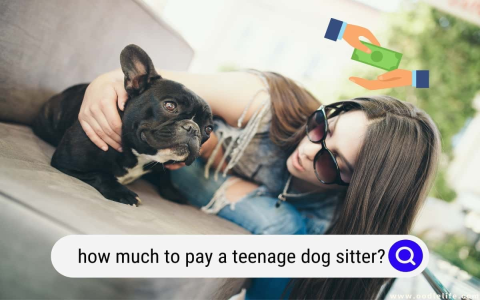 Dog Sitter Pay: How Much Should You Really Charge or Get Paid?