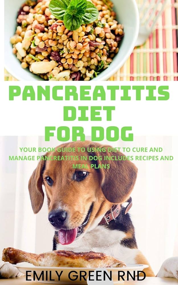 Pancreatitis in Dogs: Homemade Food Ideas & Meal Plans