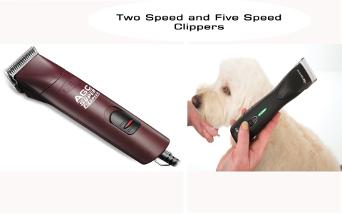 Human vs Dog Clippers: Whats the Real Difference? (Simple Guide)