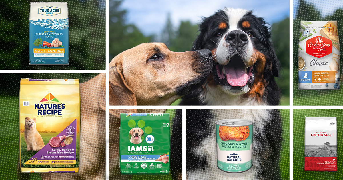 Urinary Care Dog Food Alternatives: Best Budget-Friendly Picks