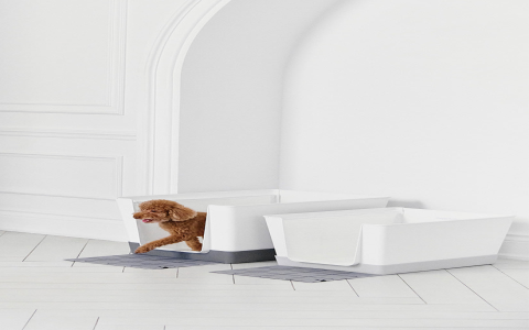 Indoor Dog Potty? Choose the right Litter Box for Dogs.