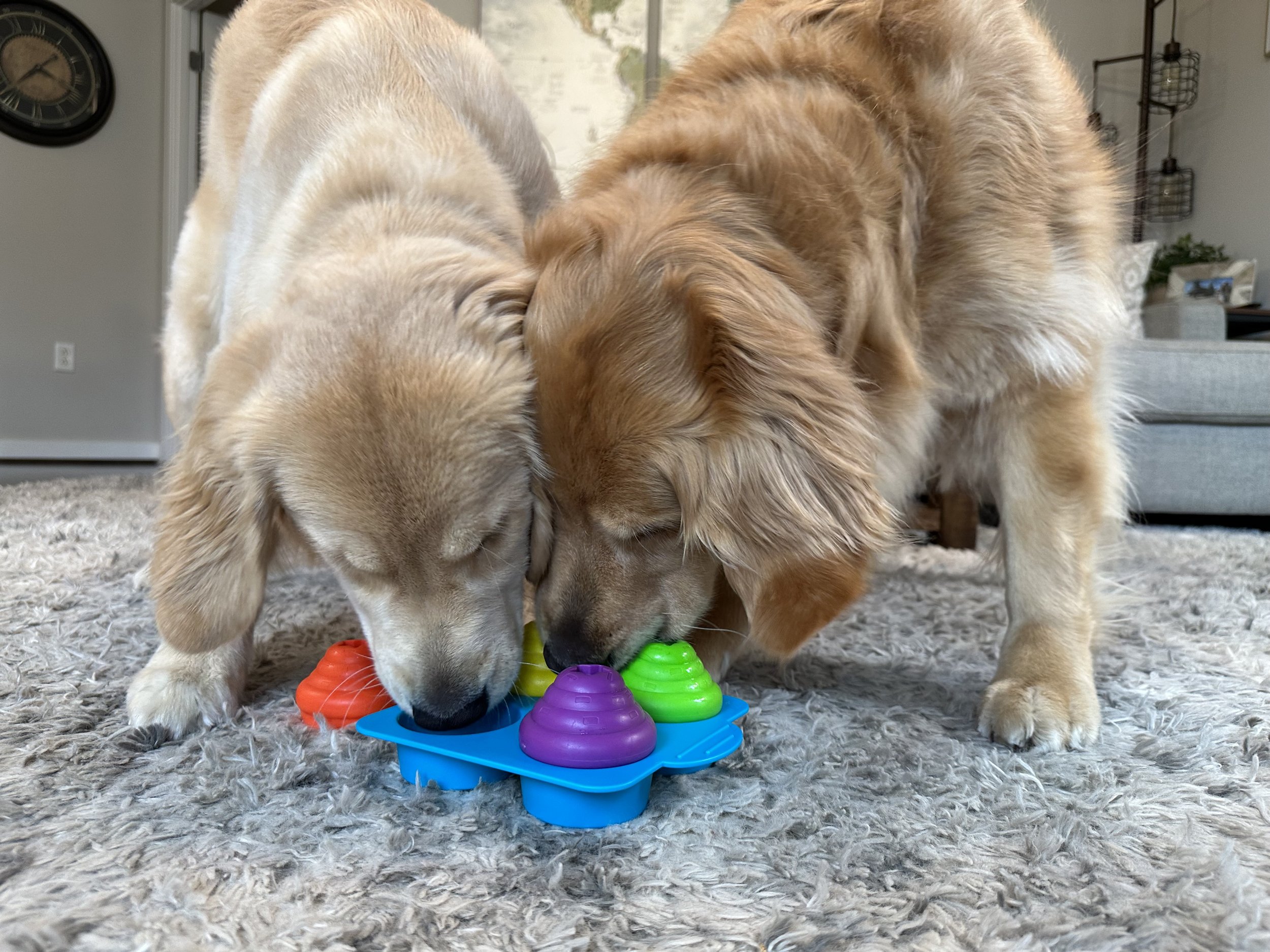 Awesome Retriever Toys for Dogs: Make Playtime the Best Time!