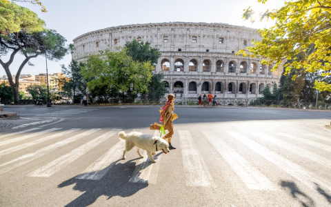 Italian Puppy Names Female: Sweet & Stylish Options!