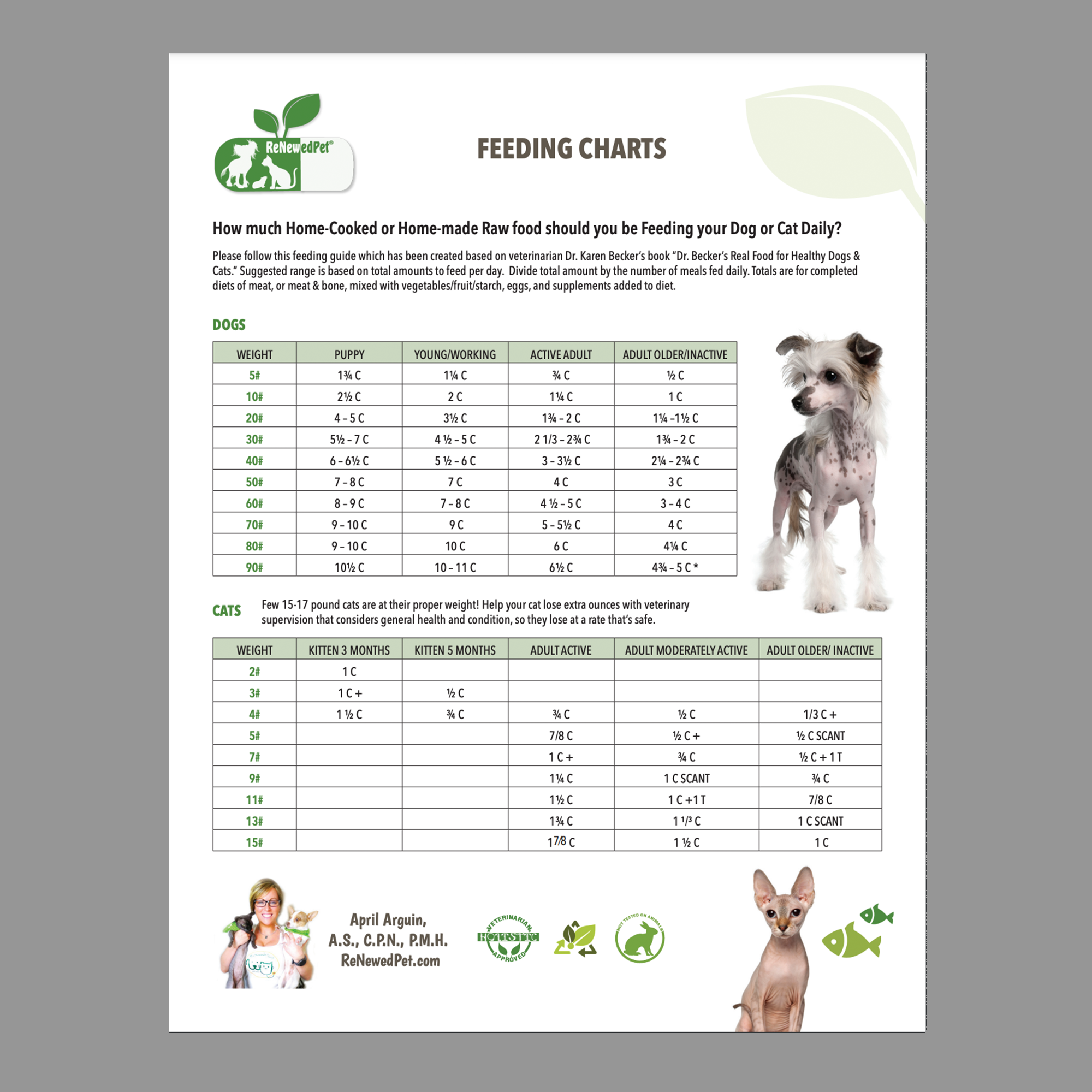 Calculate: How Much Home Cooked Food to Feed Dog Based on Weight!