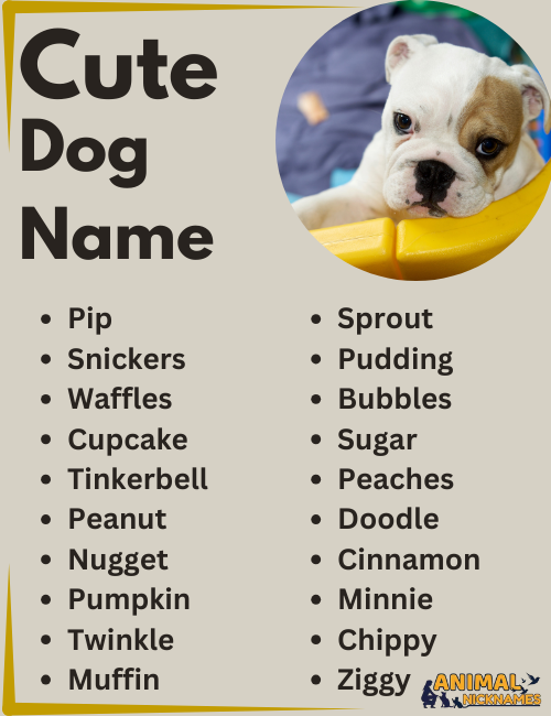 Bird Names for Dogs: Cute, Strong & Unique Ideas (Matching Name to Personality)