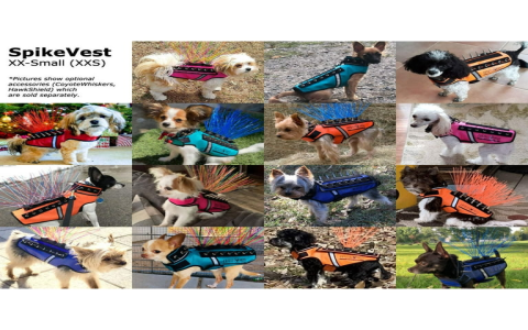 Best Spiked Vest for Dogs: Keep Coyotes Away, Simply!