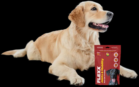 Fish Flex for Dogs: A Simple Guide for Dog Owners.