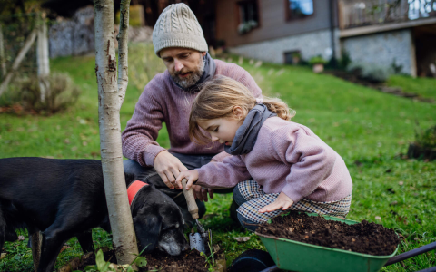 Dog Digging in the Carpet: Common Causes & How to Stop It