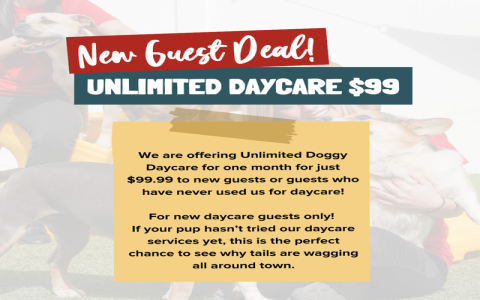 How Much Is Doggy Daycare Per Day? (Get the Best Rates Near You)