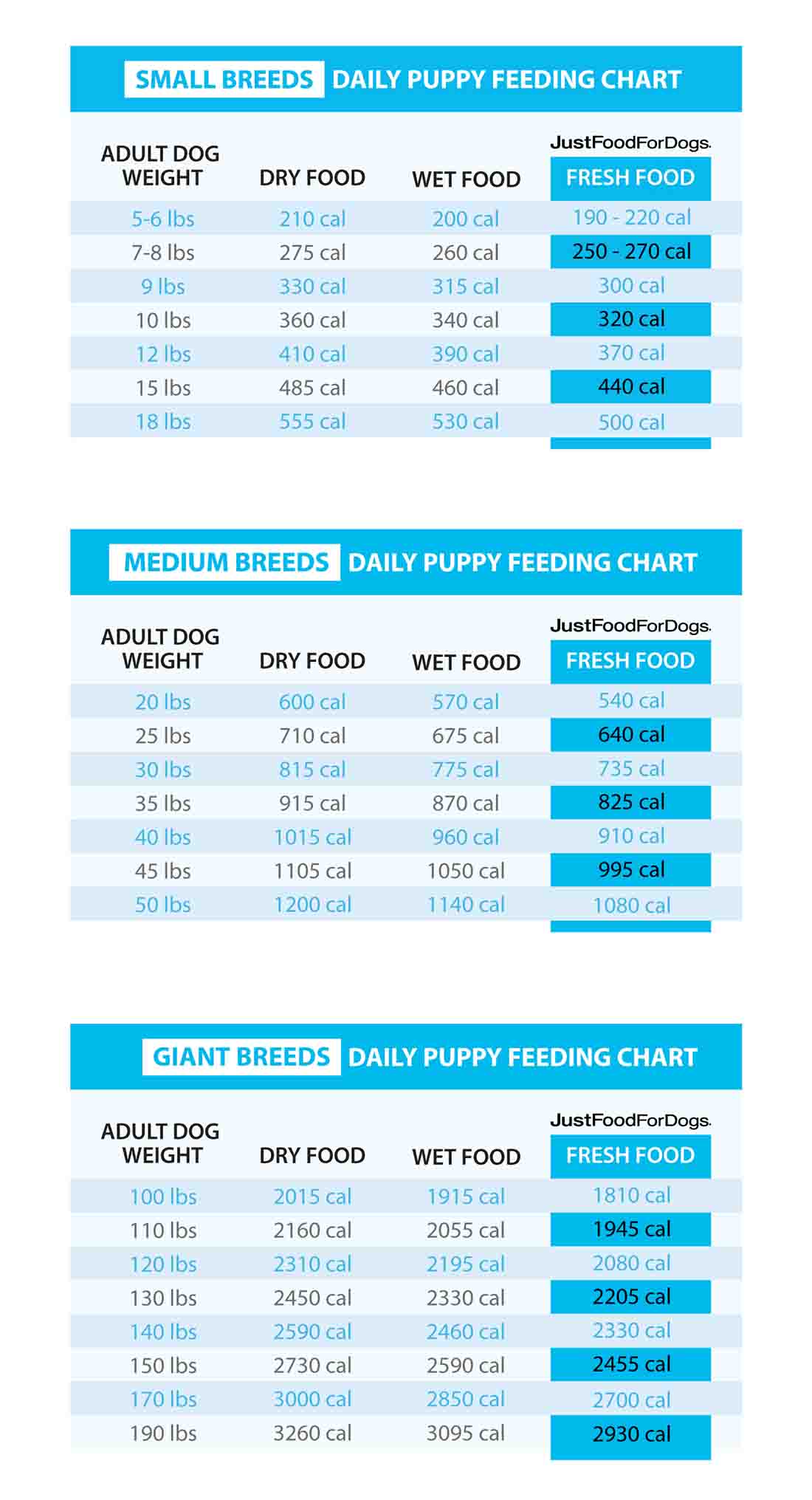 How much should my pitbull puppy eat: Get the Right Amount for a Healthy Pup!