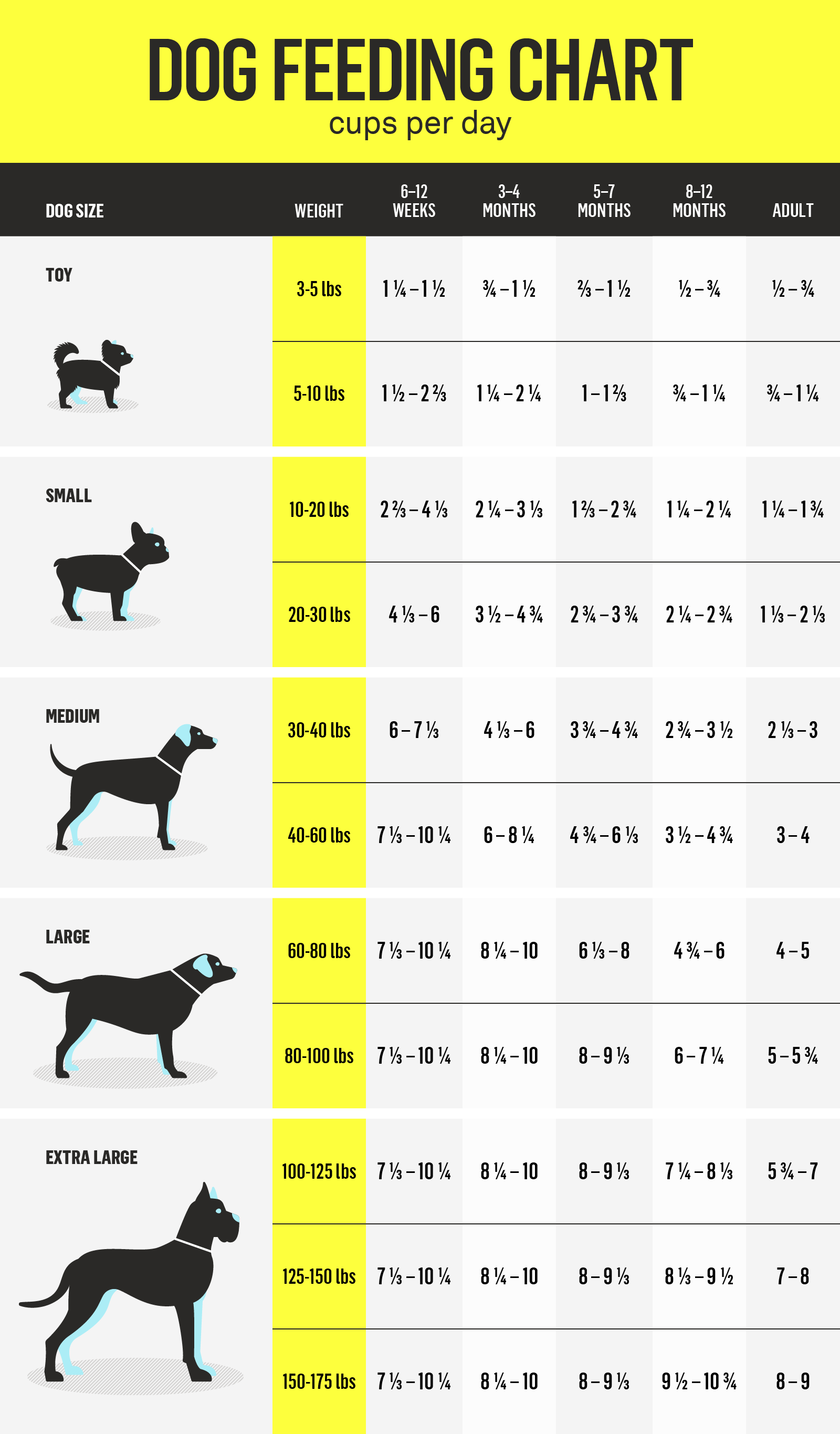 Need a Fromm Dog Food Feeding Chart? Find the Right Amount Here!