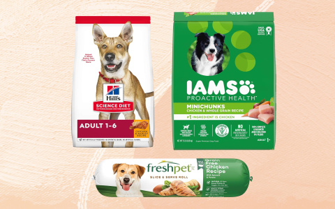 Buy Veterinary Select Canned Dog Food? Read This First!