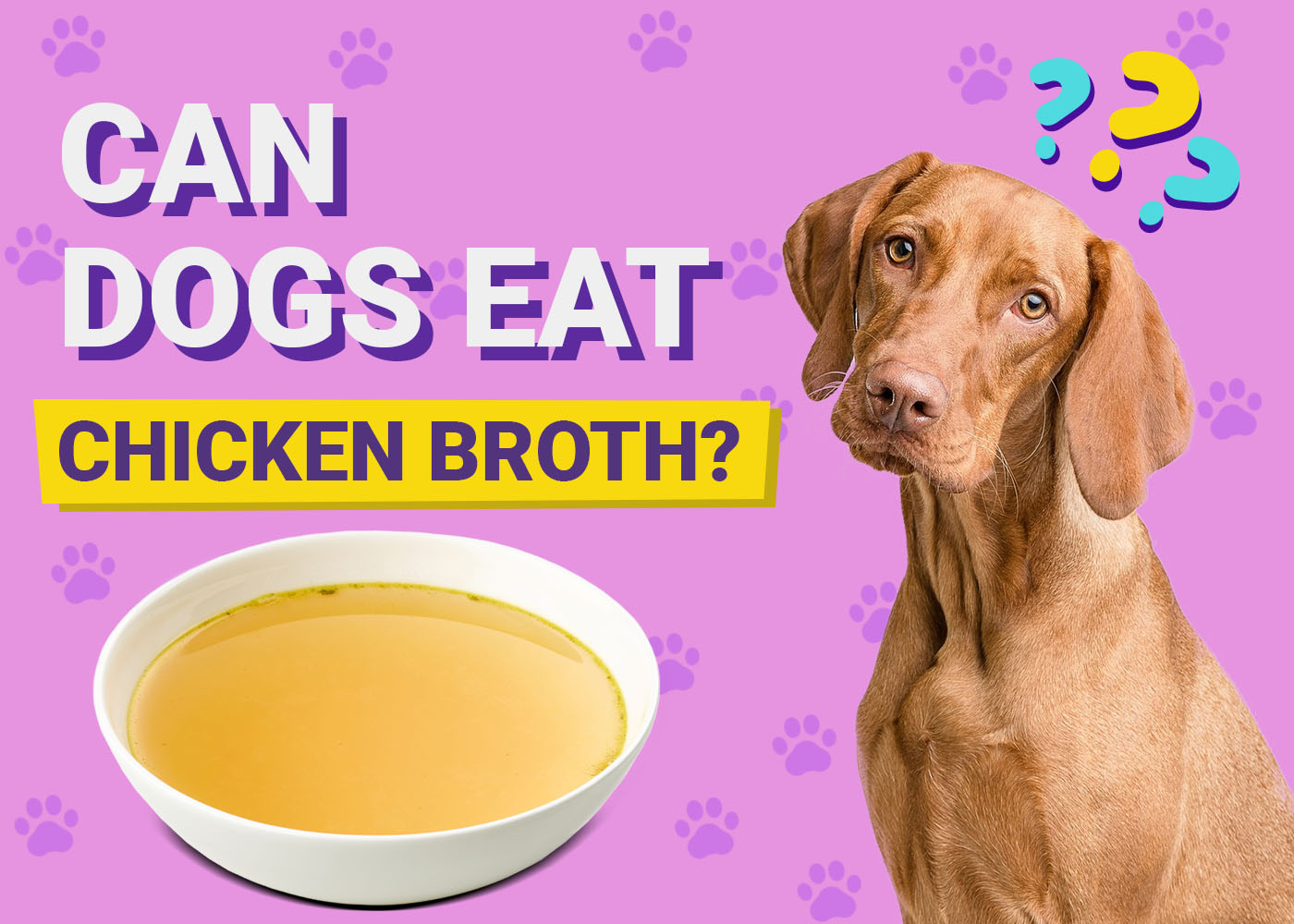 My dog loves chicken broth! How much is safe to give daily?